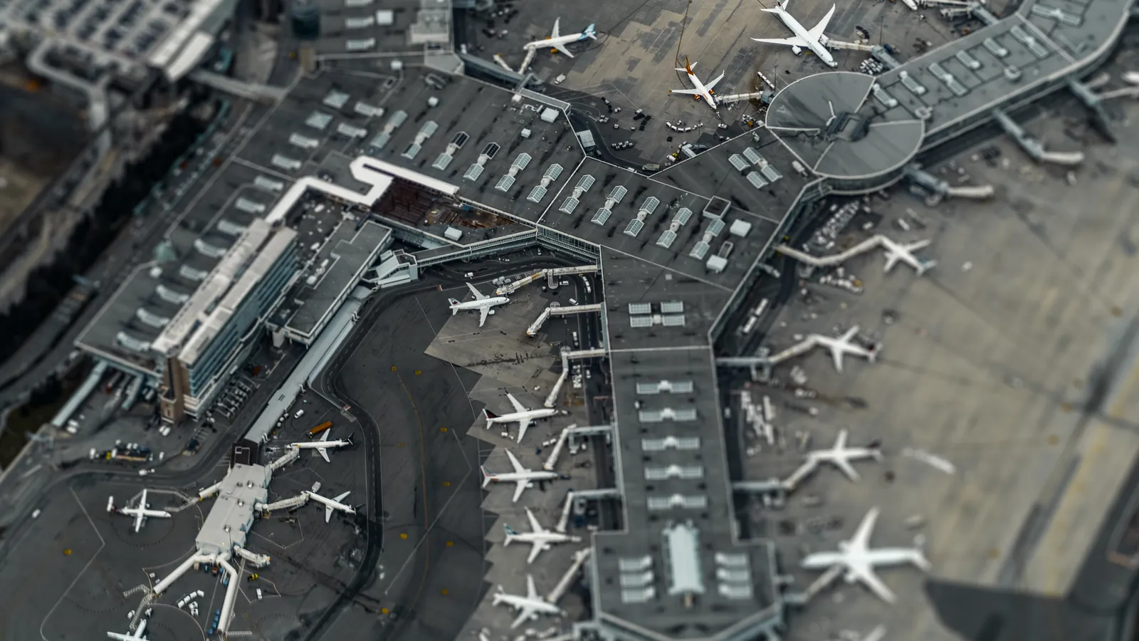 10 Things to Do Near Fort Lauderdale Airport