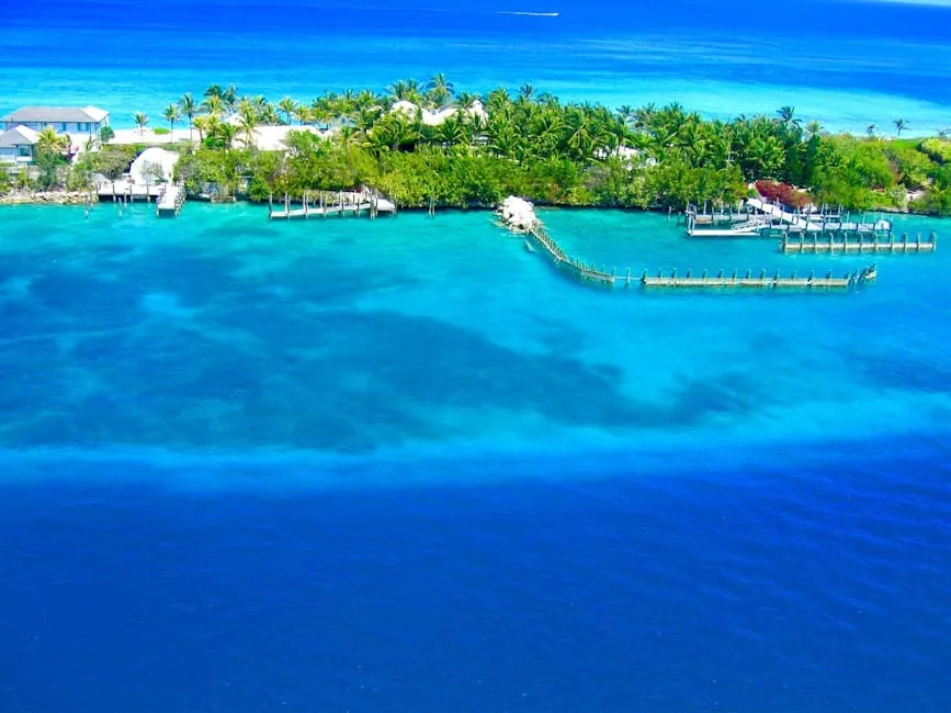 Bimini or Bust: How to Master Your Fort Lauderdale to the Bahamas Day Trip