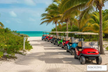 bimini bahamas golf cart rental